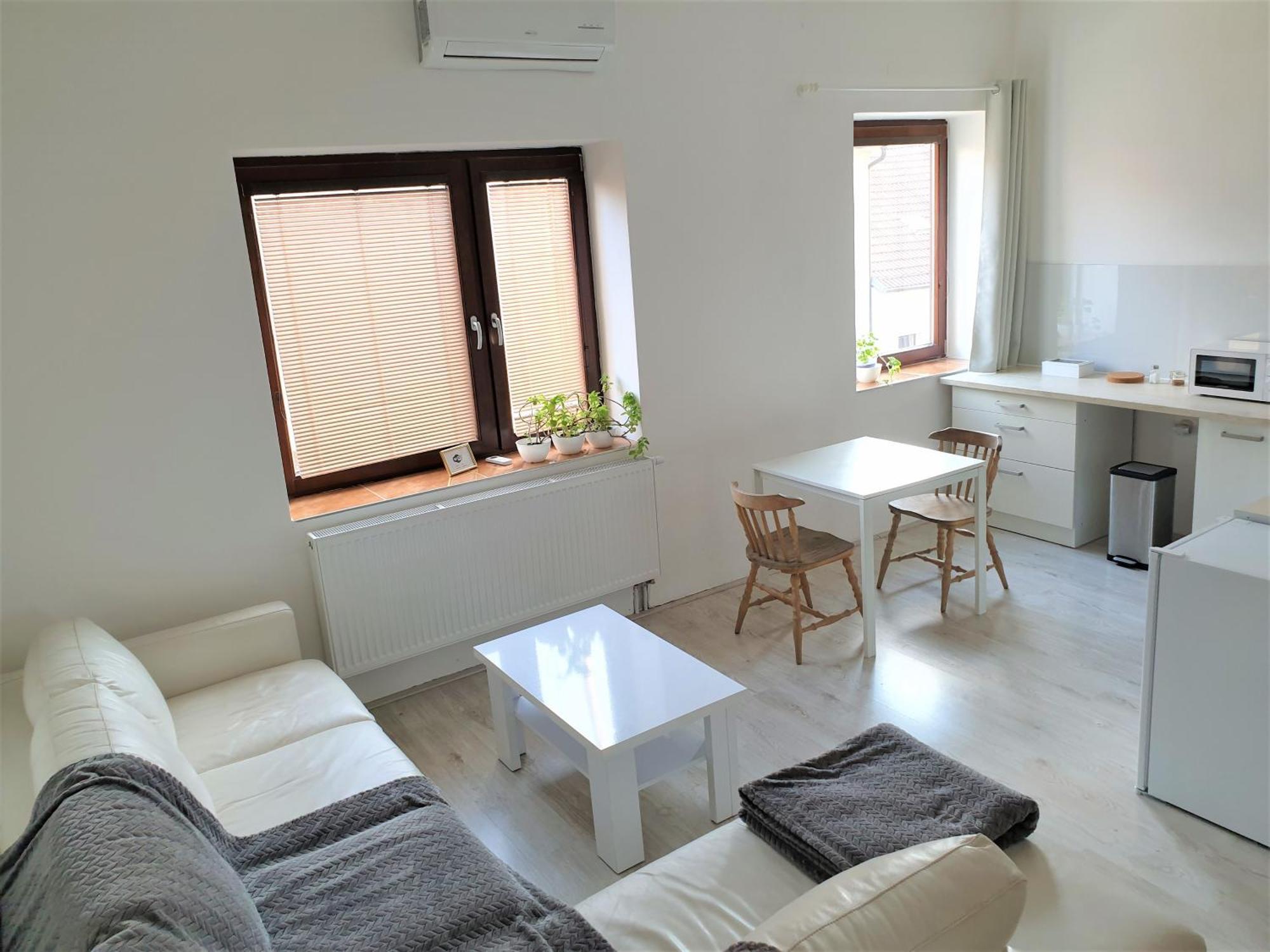 Brno Apartment Bagian luar foto